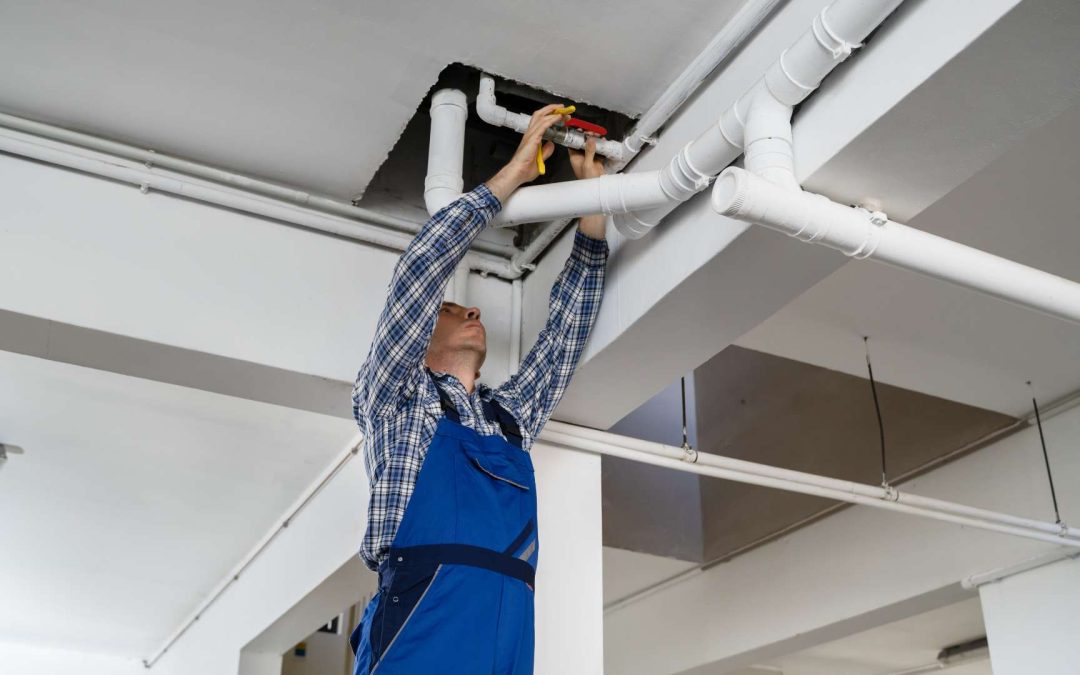 ¿Quién es el mejor fontanero en Zaragoza?